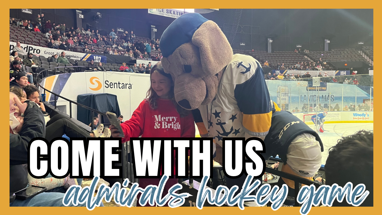 Come With Us: Norfolk Admirals Hockey Game